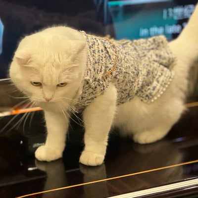 Pearl Flower Bowknot Decor Dog Cat Dress