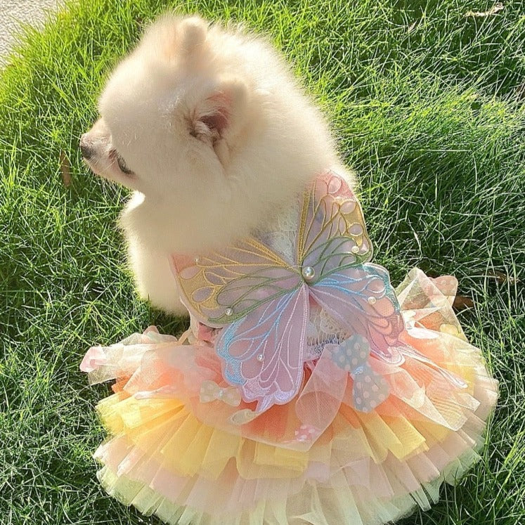Butterfly Decor Sweet Dog Cat Lace Dress