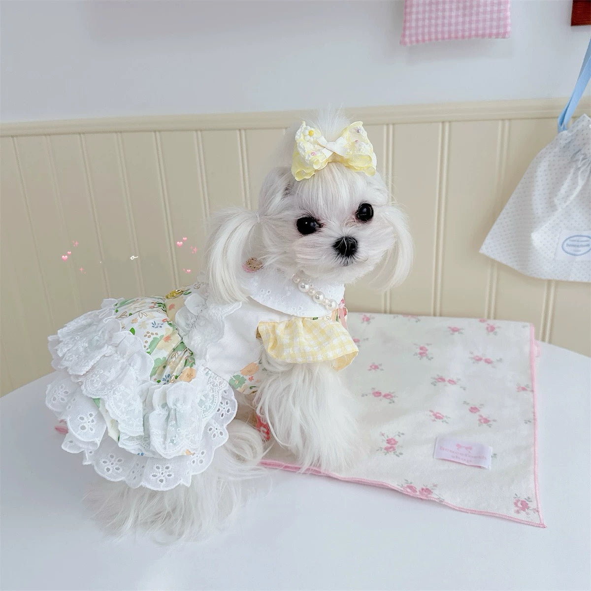 Sweet Floral Bear Dog Cat Harness Dress