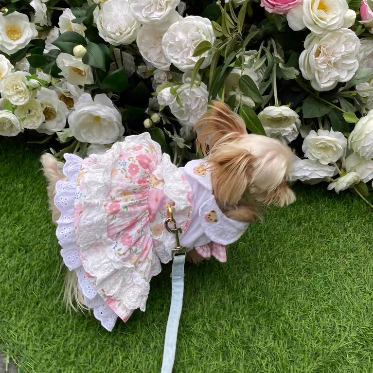 Sweet Floral Bear Dog Cat Harness Dress