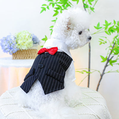 Bow Buttoned Dog Cat Harness Formal Shirt