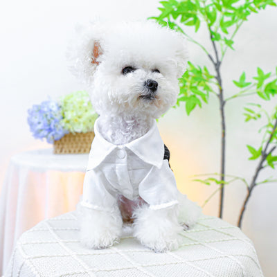 Bow Buttoned Dog Cat Harness Formal Shirt