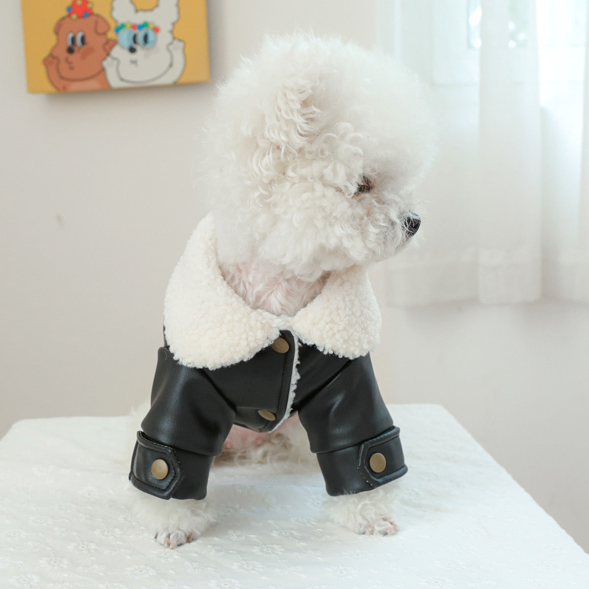 Black Faux Fur Dog Cat Jacket/Dress