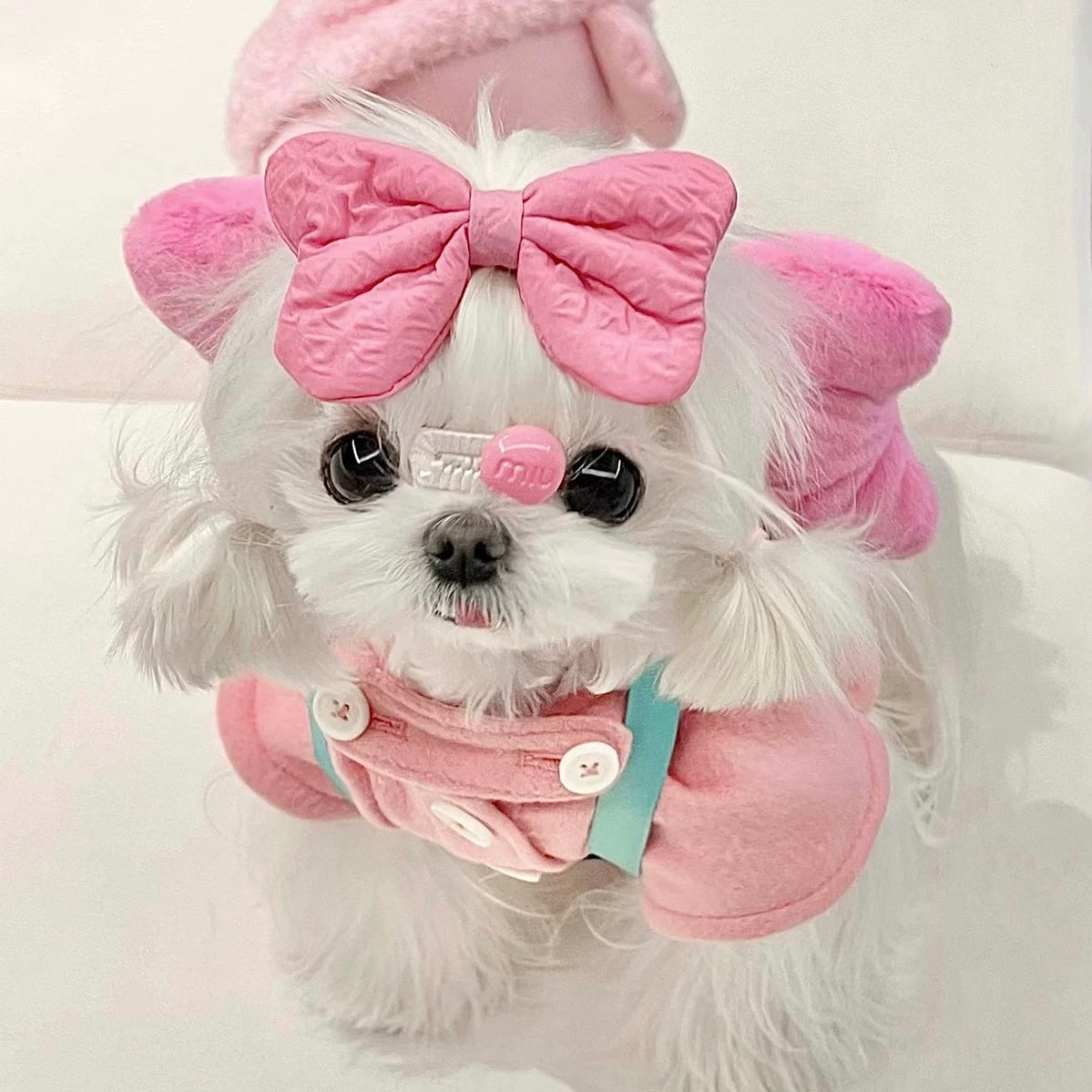 Sweet Bow Dog Cat Hair Clip