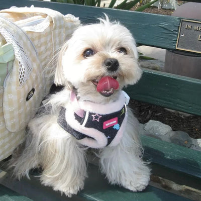 Sweet Cherry Printed Furry Dog Harness/Leash