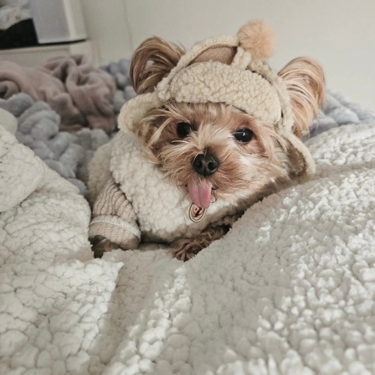 Casual Fleece Furry Dog Cat Hat