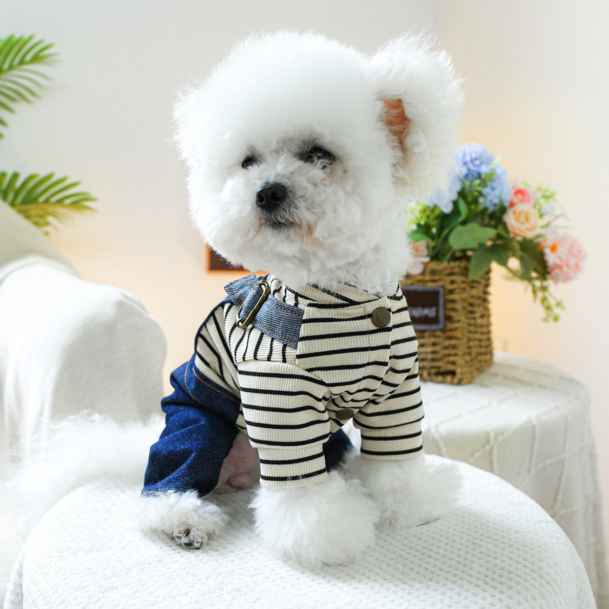 Striped Heart Pattern Denim Dog Jumpsuits