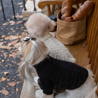 Lace Embroidered Puffy Sleeves Dog Cat Sweater