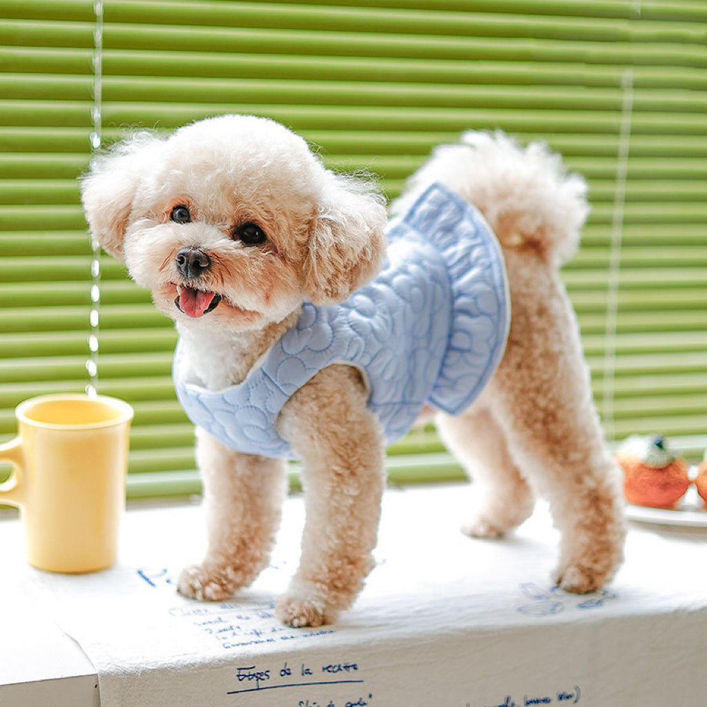 Flower Pearl Warm Dog Cat Short Jacket