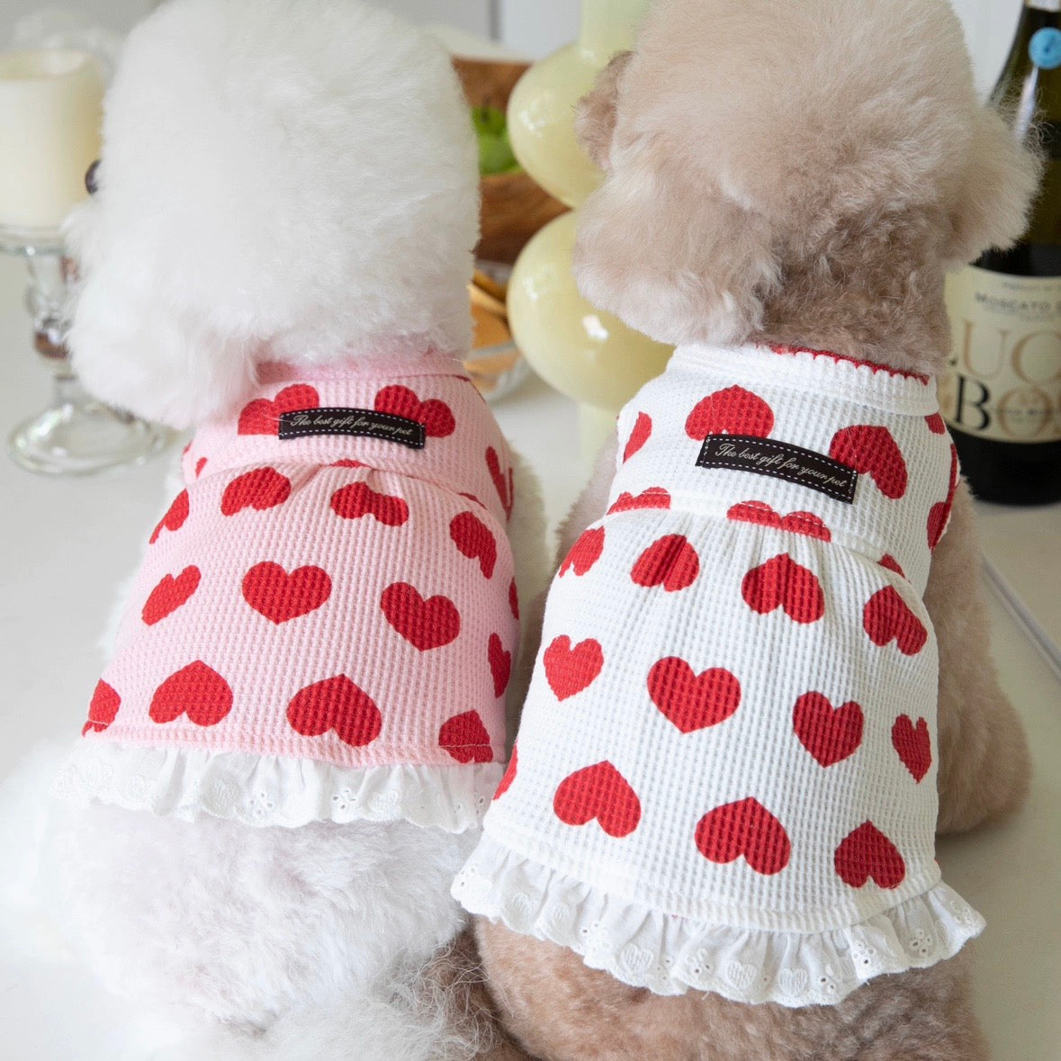 Sweet Heart Cotton Dog Cat Dress