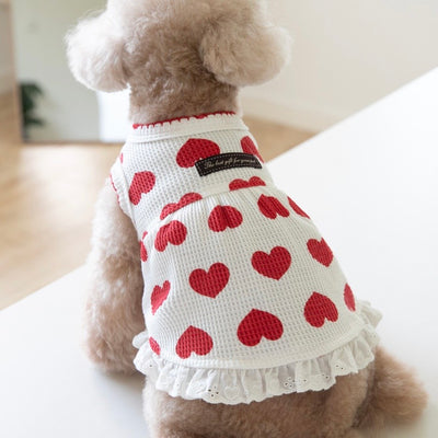 Sweet Heart Cotton Dog Cat Dress
