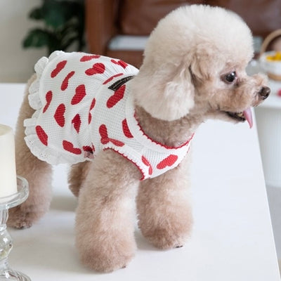 Sweet Heart Cotton Dog Cat Dress