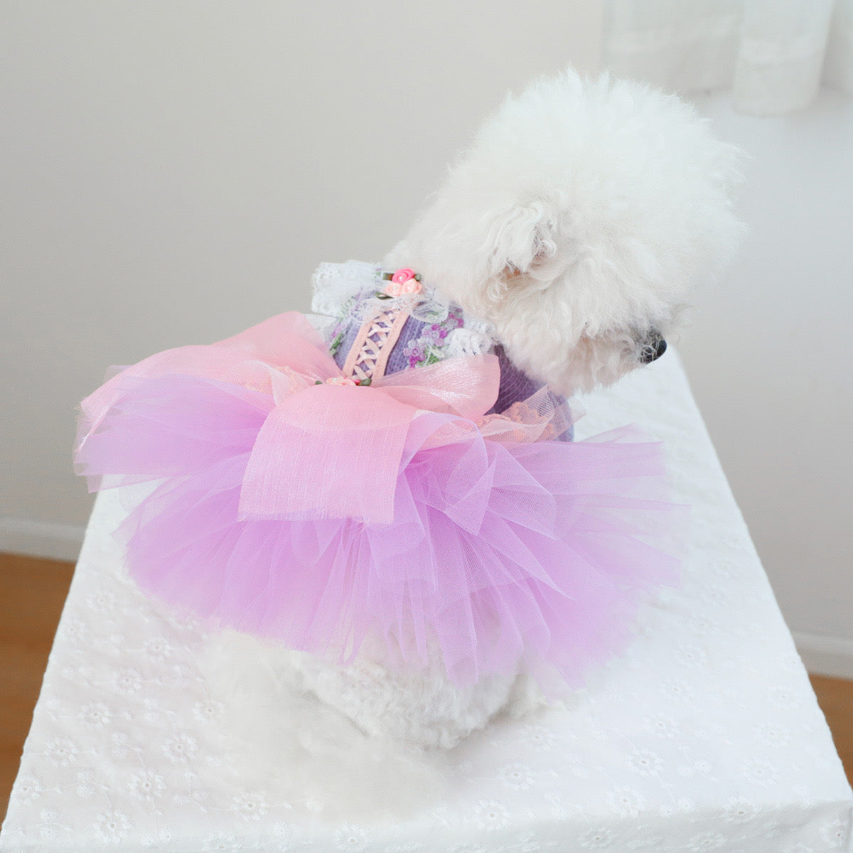 Heart Flower Dog Cat Princess Dress