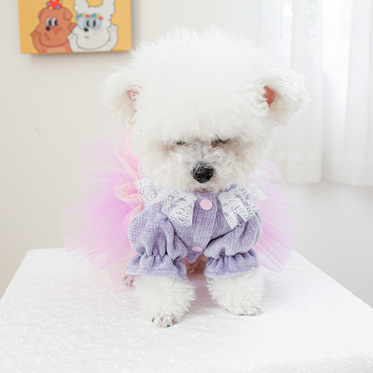 Heart Flower Dog Cat Princess Dress