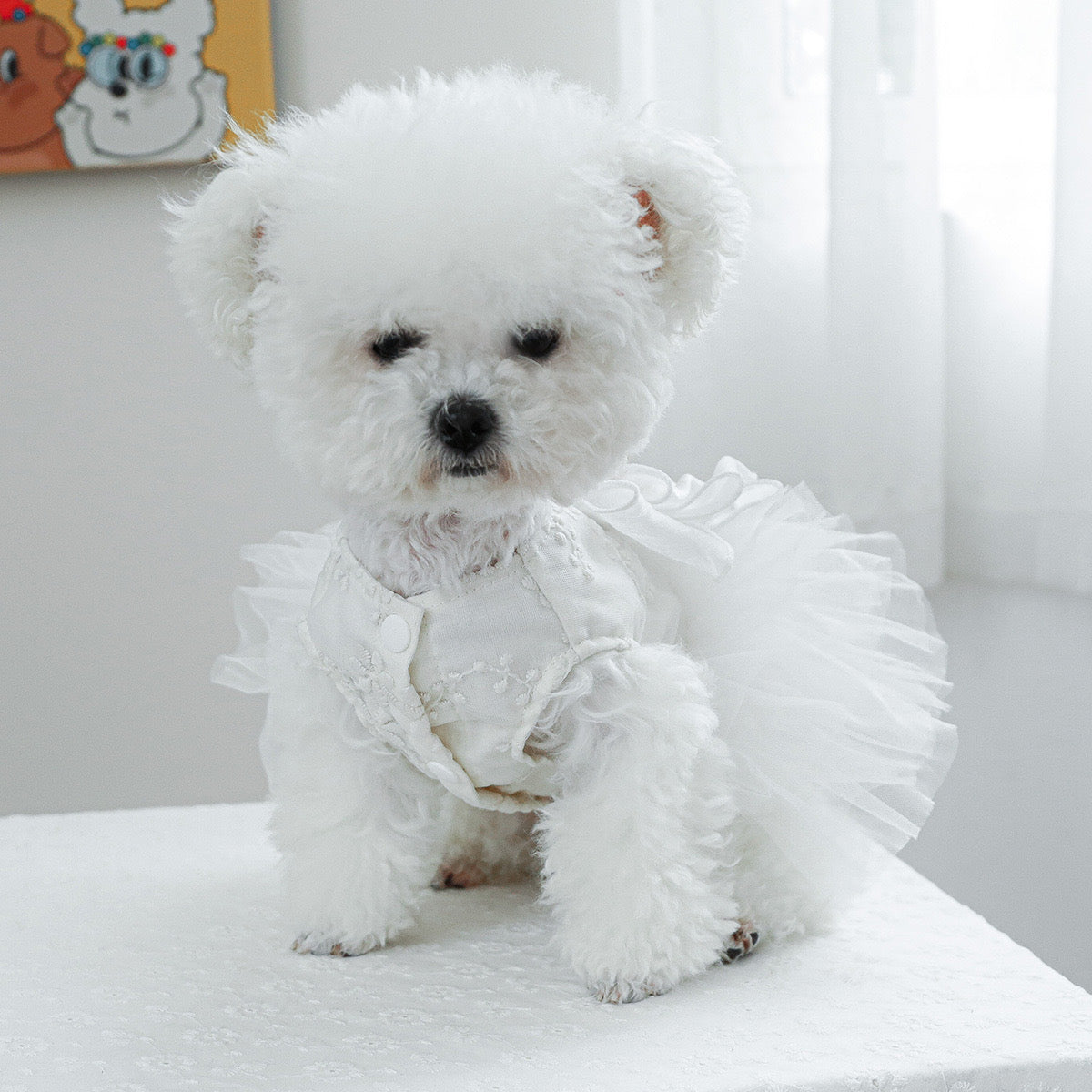 Rose Decor Dog Cat Wedding Dress