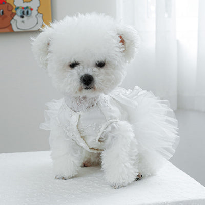 Rose Decor Dog Cat Wedding Dress