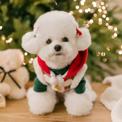 Christmas Plaid Buttoned Fleece Dog Cat Jacket