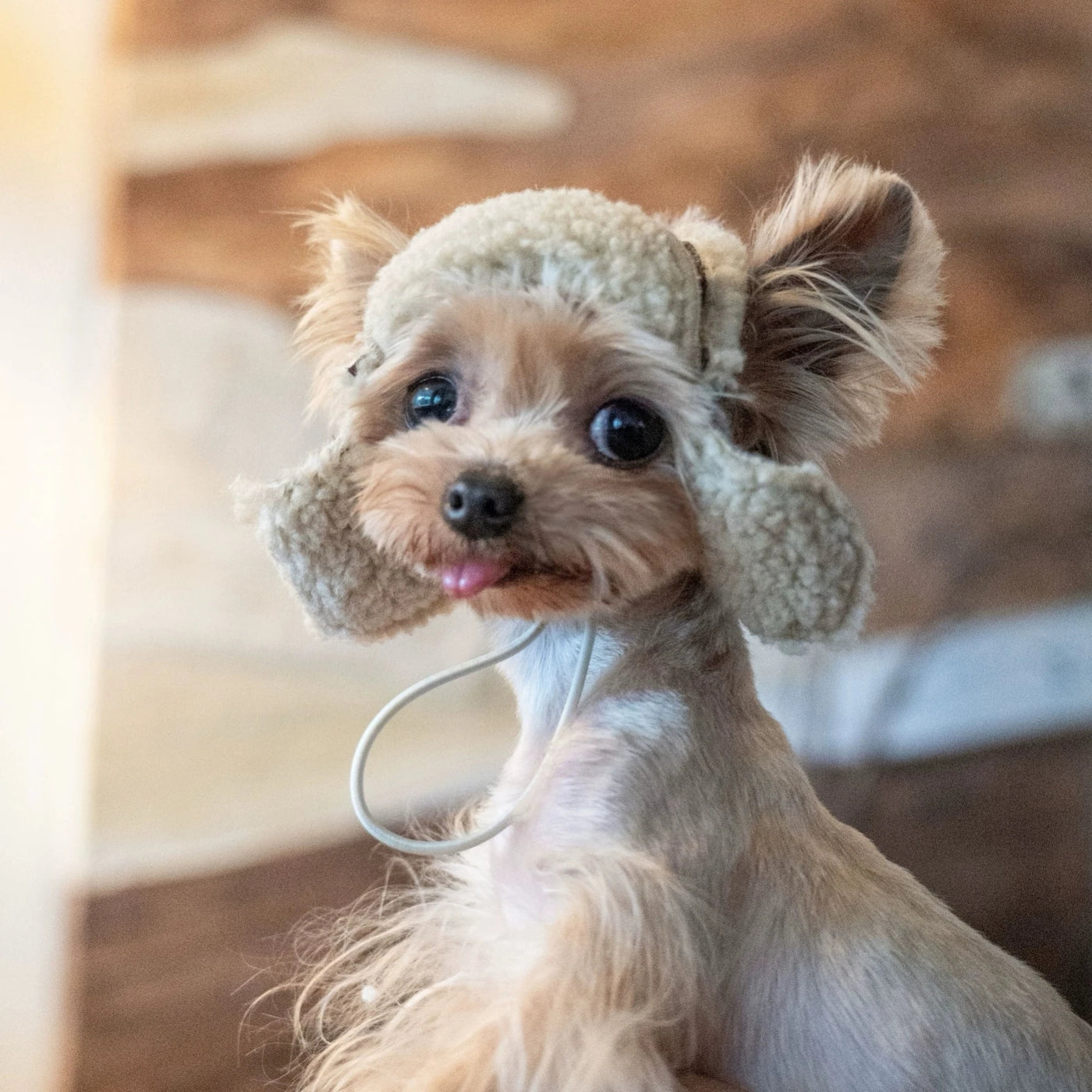 Casual Fleece Furry Dog Cat Hat