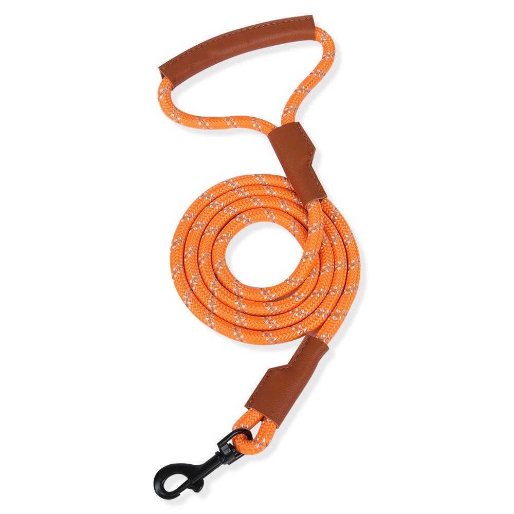 Contrast Color No Pull Dog Harness/Leash For Medium Dog