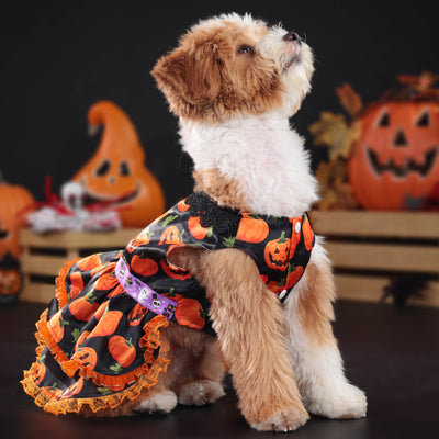 Sweet Lace Halloween Pumpkin Dog Cat Dress