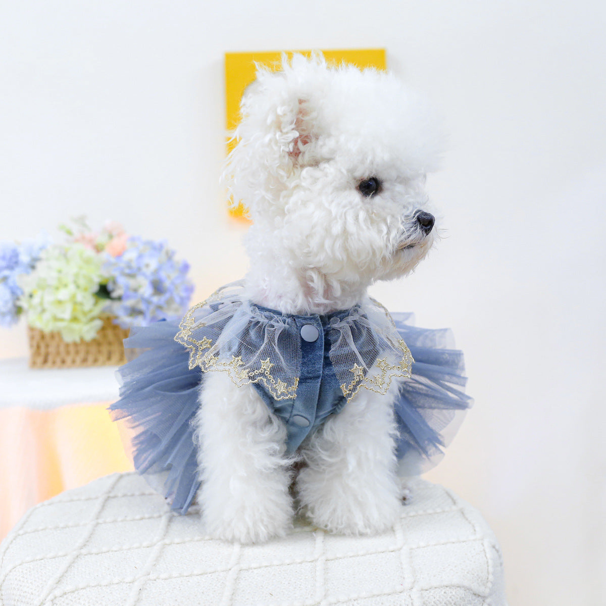 Crown Star Lace Dog Cat Princess Dress