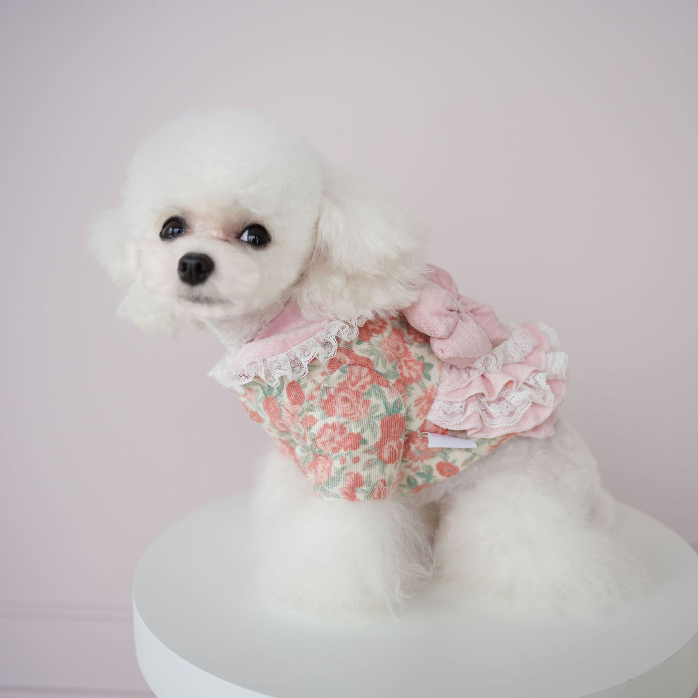 Floral Lace Layered Dog Cat Harness Dress/Jacket