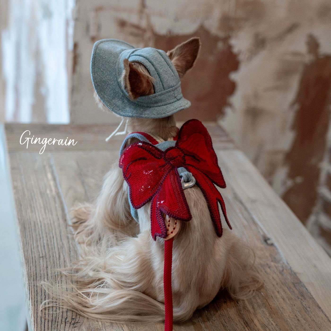 Denim Sweet Bow Dog Harness Leash/Hat