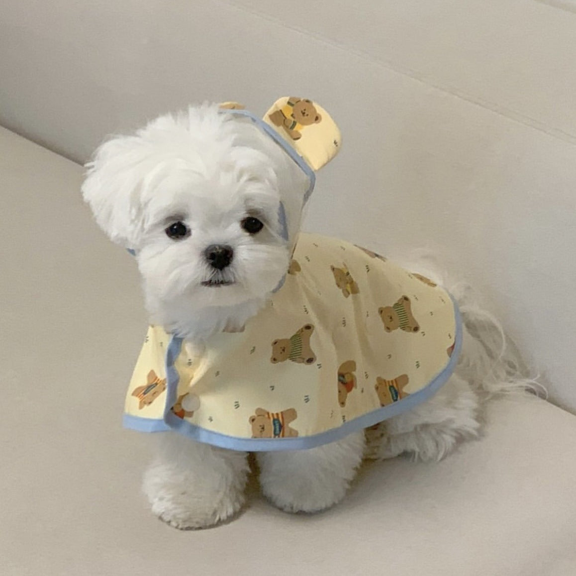 Sweet Bear Printed Dog Raincoat