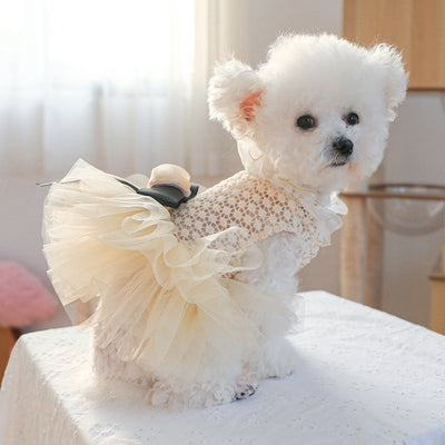 Black White Lace Dog Cat Princess Dress