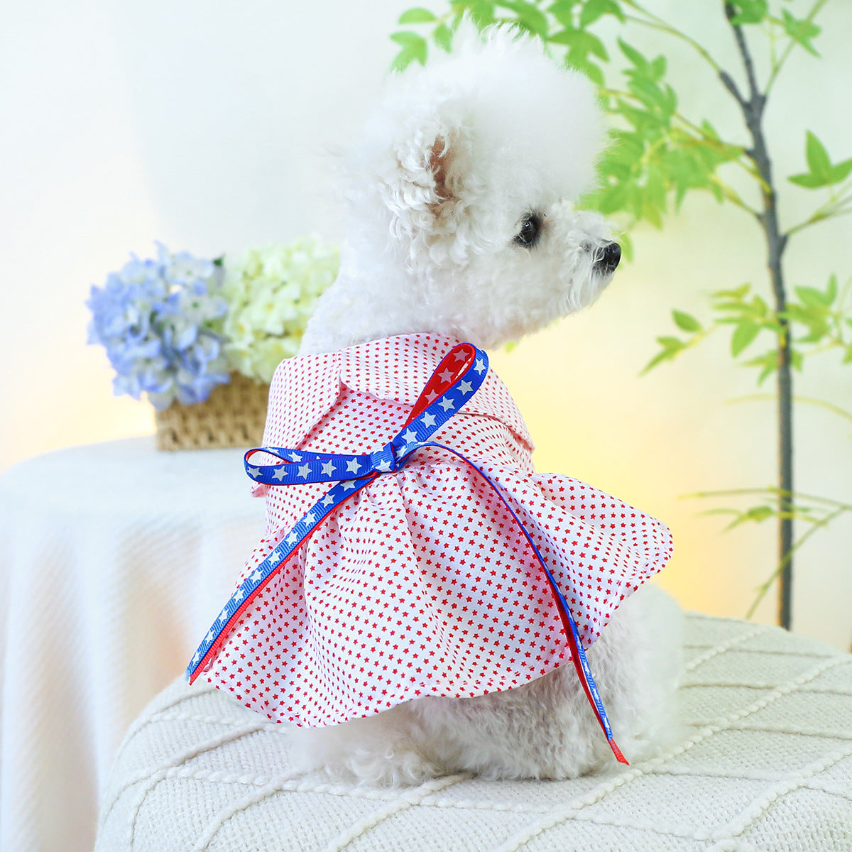 Star Printed Bow Dog Cat Dress