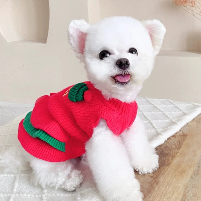 Christmas Knitted Dog Cat Layered Dress