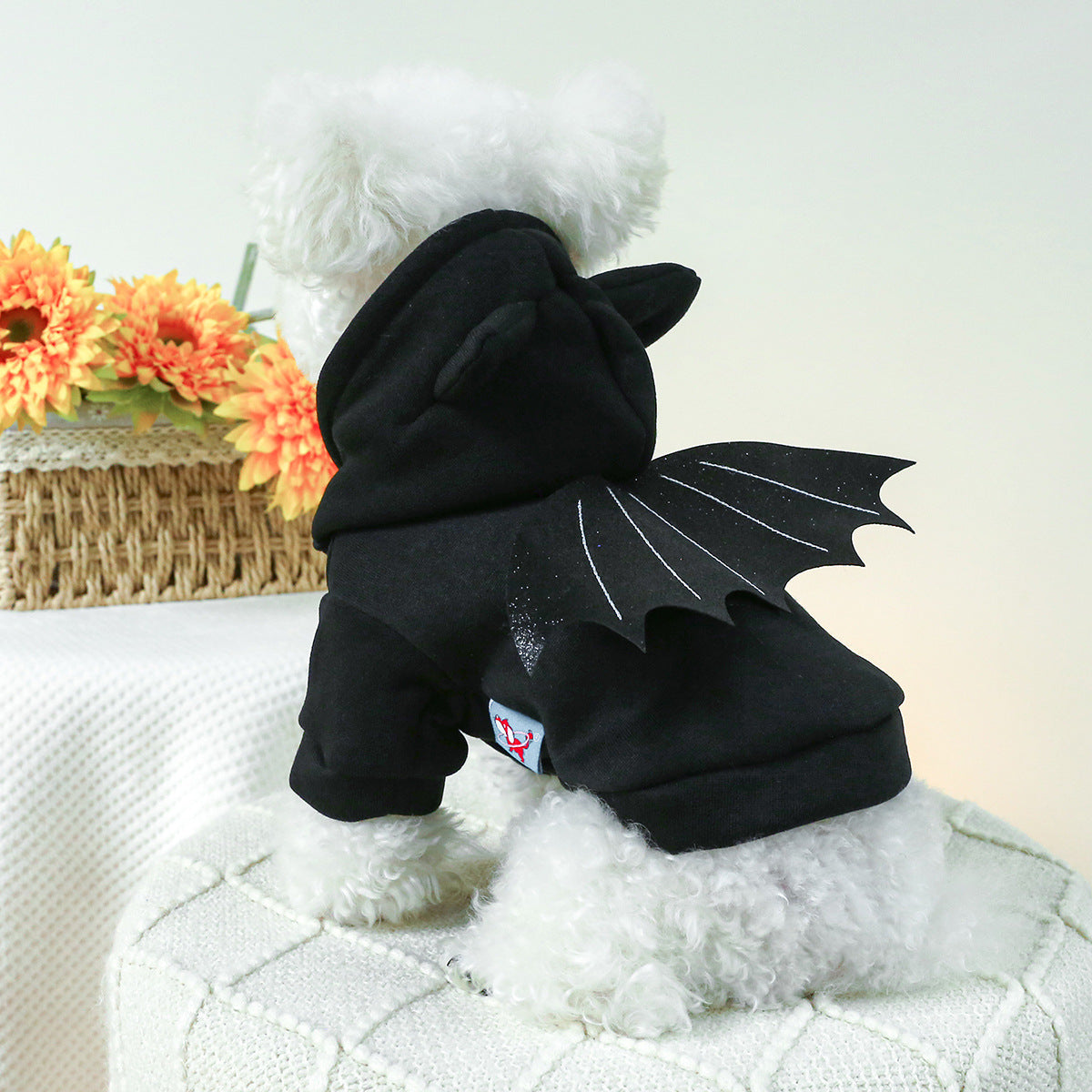 Halloween Bat Decor Dog Cat Hoodie