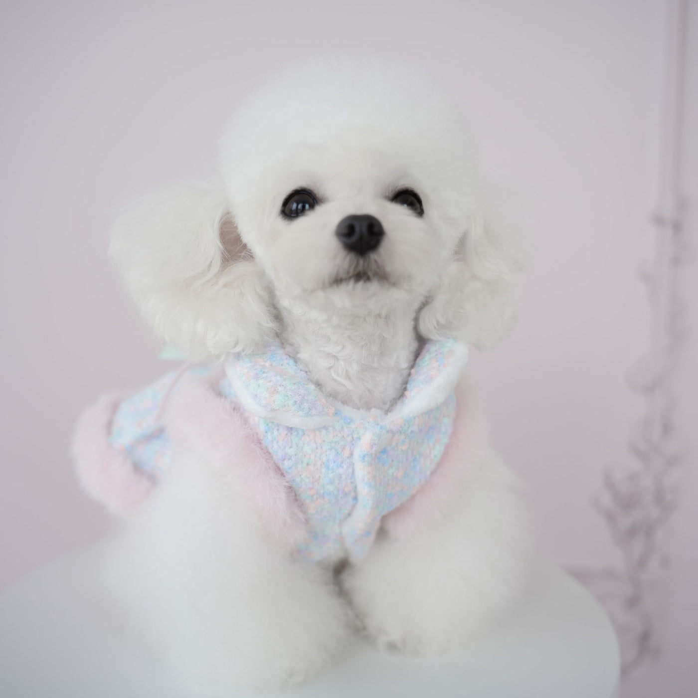 Furry Sweet Large Bow Dog Cat Jacket/Dress