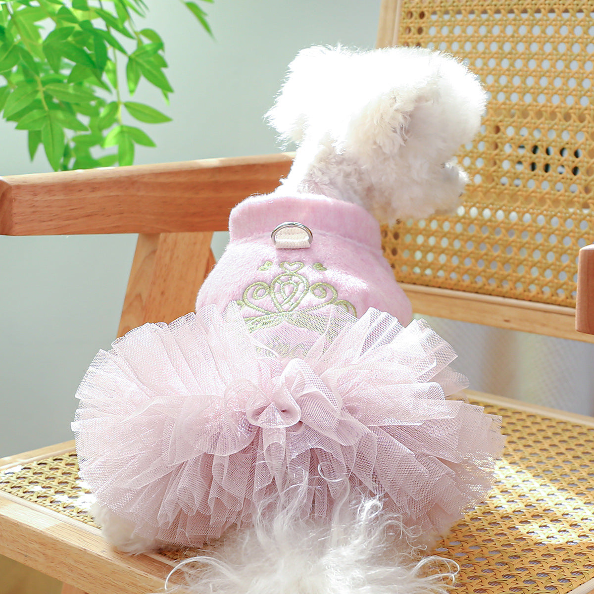 Crown Printed Warm Dog Lace Dress