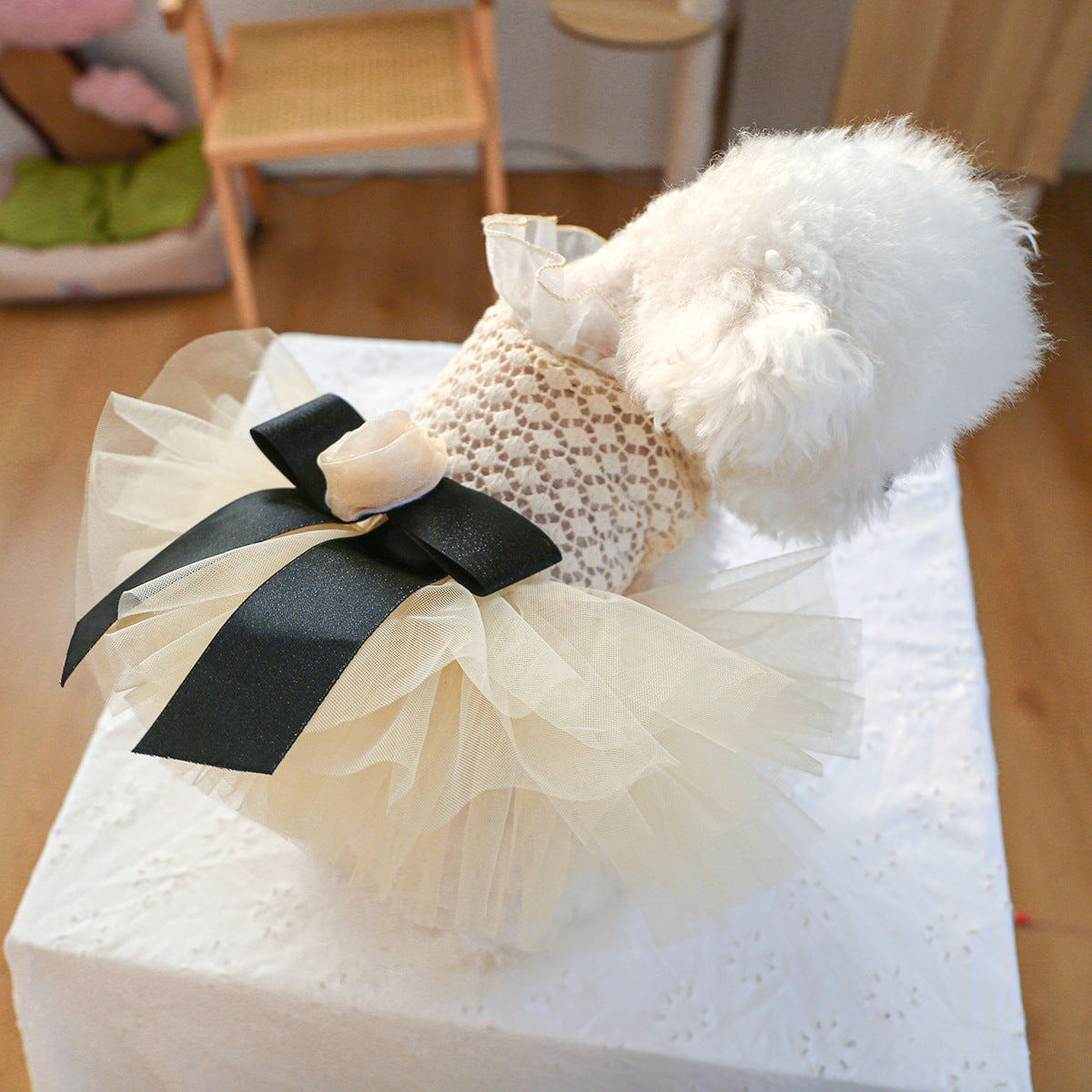 Black White Lace Dog Cat Princess Dress