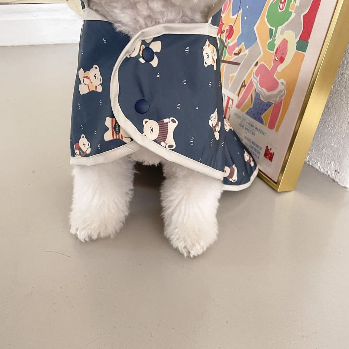 Sweet Bear Printed Dog Raincoat