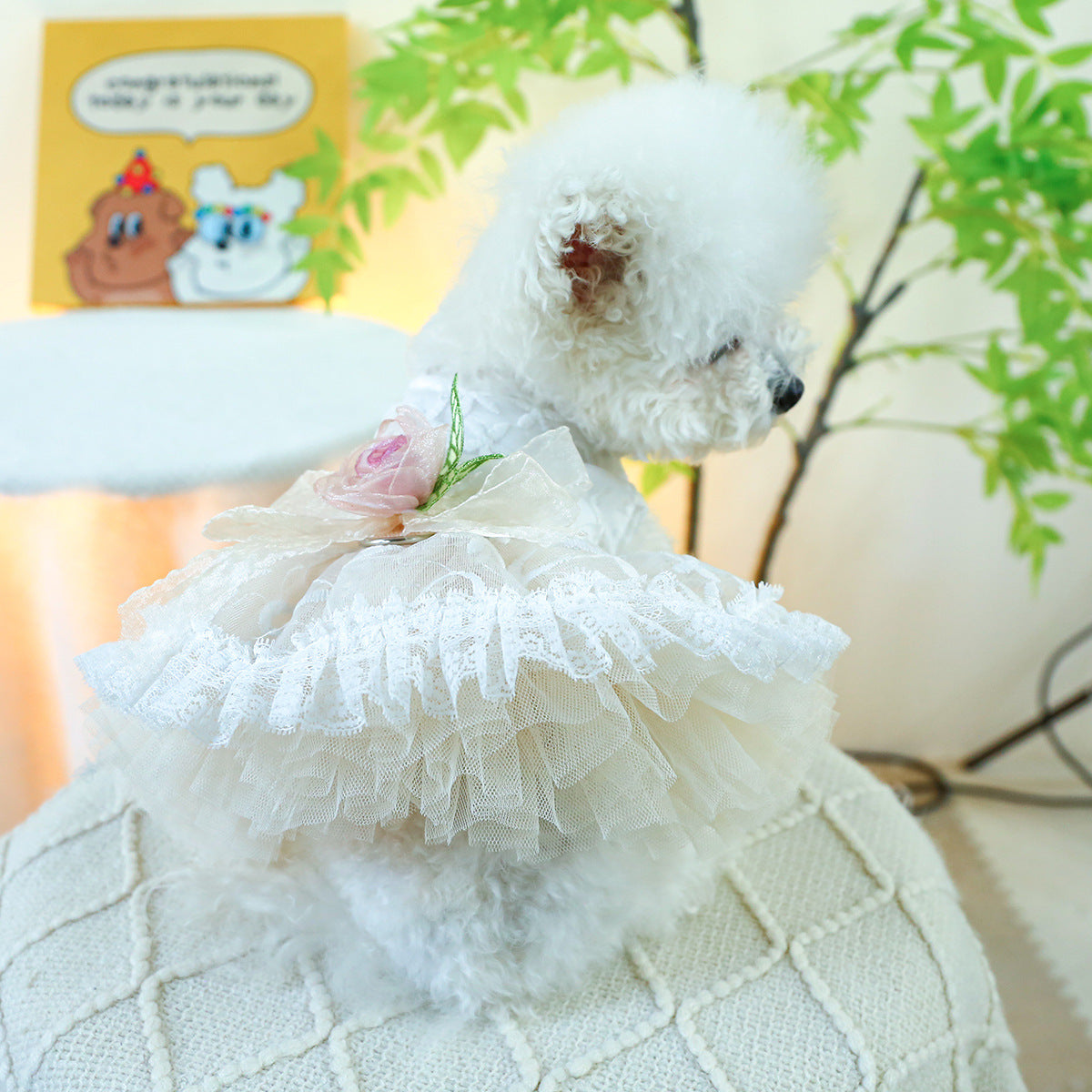 Lace Dog Cat Princess Wedding Dress