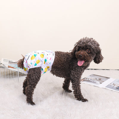 Fruit Printed Reusable Dog Cat Diaper Pants