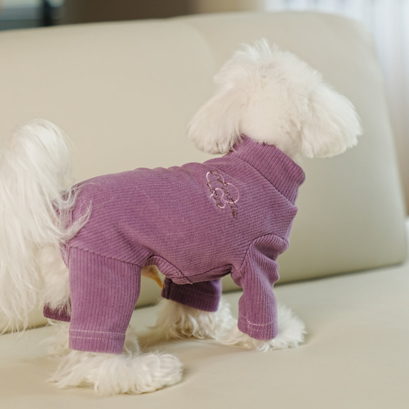 Warm Heart Printed Dog Jumpsuit Pajama