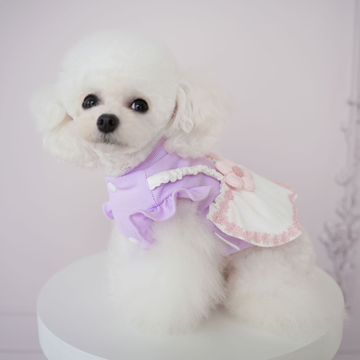 Sweet Knitted Flower Dog Cat Dress Harness