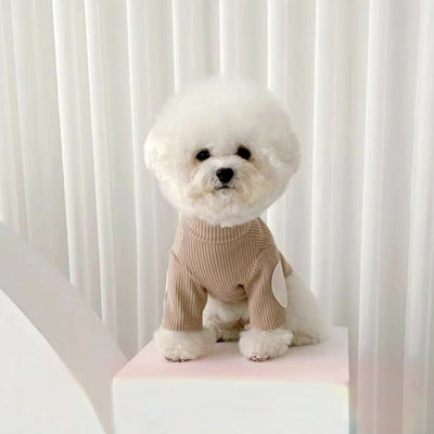 Solid Color Soft Dog Cat Pullover