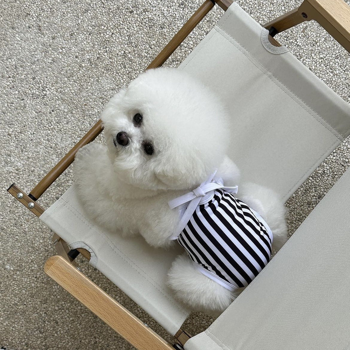 Striped Printed Dog Swimsuit