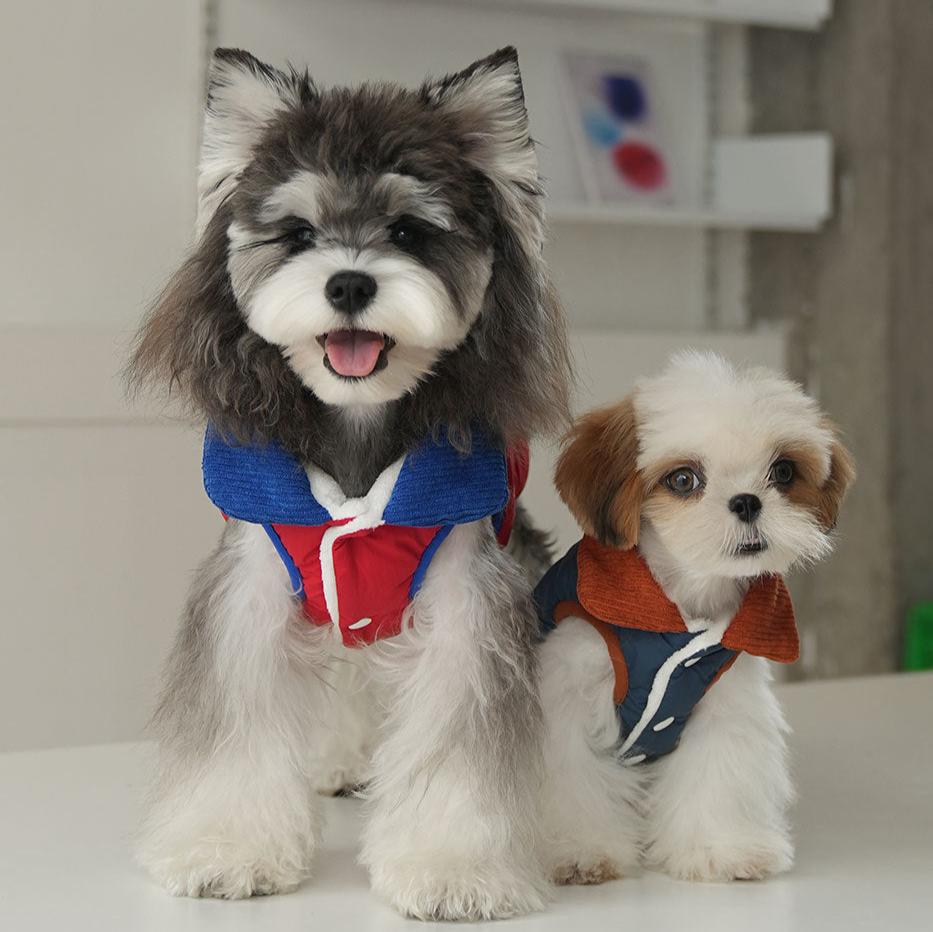 Contrast Color Collar Buttoned Dog Harness Jacket