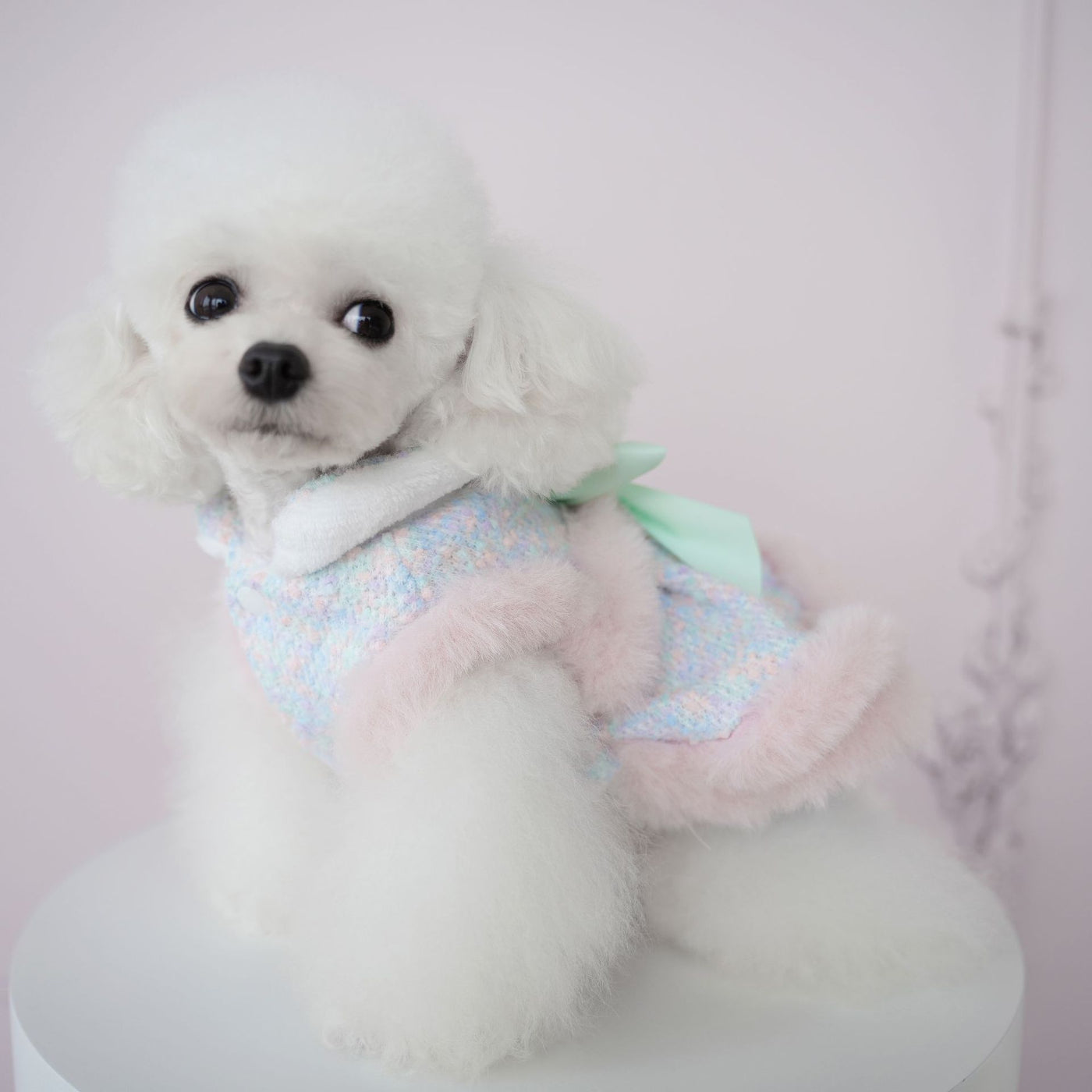 Furry Sweet Large Bow Dog Cat Jacket/Dress