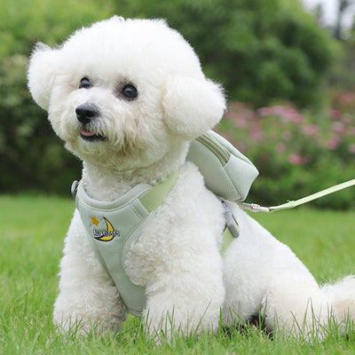 Printed Bag Breathable Dog Harness&Leash