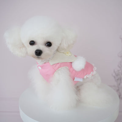 Furry Ball Decor Square Collar Dog Cat Jacket