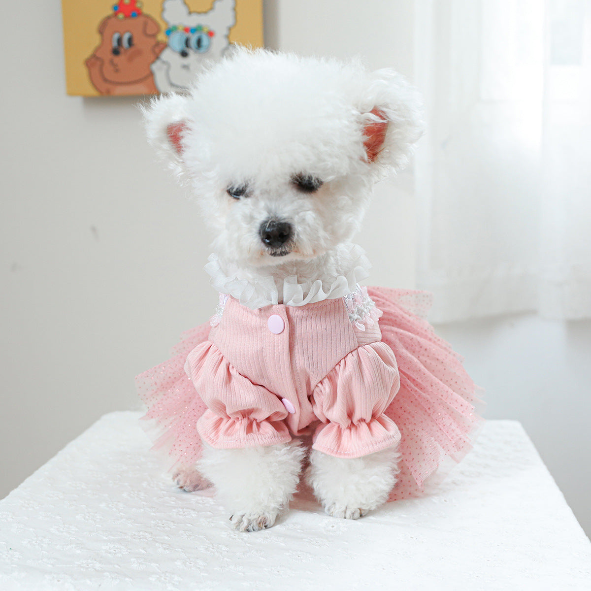 Heart Flower Dog Cat Princess Dress