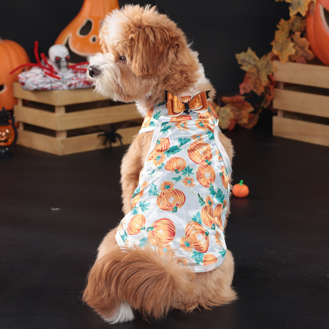 Halloween Pumpkin Printed Bow Dog Cat Vest | Softosy Pet Boutique