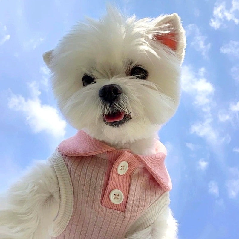 Breathable Contrast Color Collar Dog Cat Vest