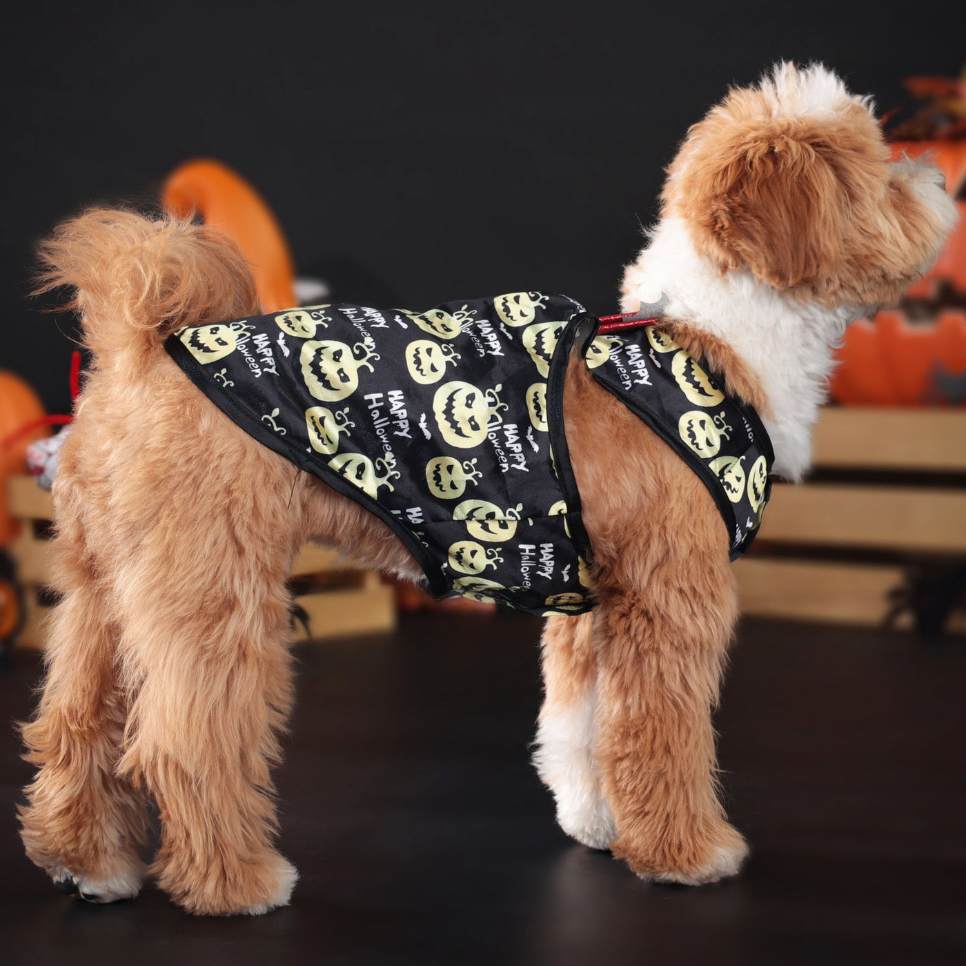 Halloween Pumpkin Printed Bow Dog Cat Vest